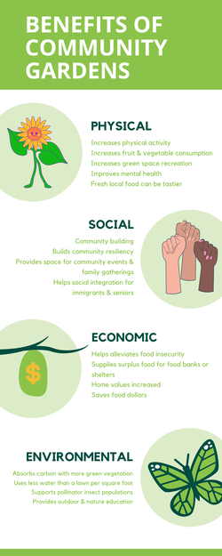 Benefits of community gardens image