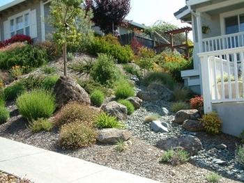 Incorporating stone in a hillside garden helps divert water and improves fire resistance. Photo: Gardensoft
