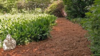 Mulch is an easy way to conserve water and reduce weeds in your garden. Photo: Maia C