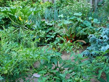 Vegetable gardens and turf can be exceptions to a low-water-use garden but consider reducing or eliminating your lawn. Photo: Wikimedia