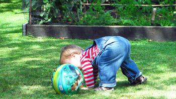 Weed and feed products for the lawn may expose your child to harmful pesticides. Photo: PxHere