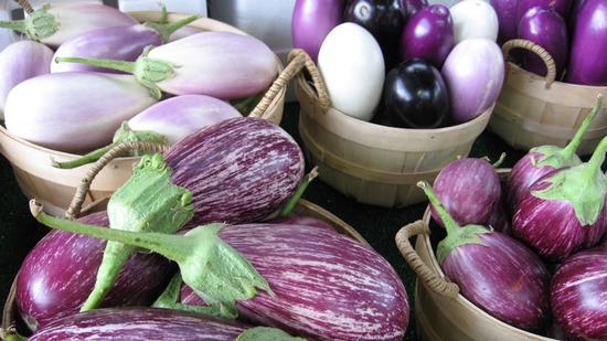Eggplant varieties differ in size, shape, and color Photo Credit: flickr