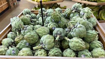 ‘Green Globe’ is the standard artichoke variety for sale in supermarkets