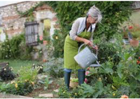 Health Benefits of Gardening (image)