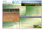 Wolfey soil info sheet