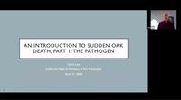 Sudden Oak Death (Part 1)