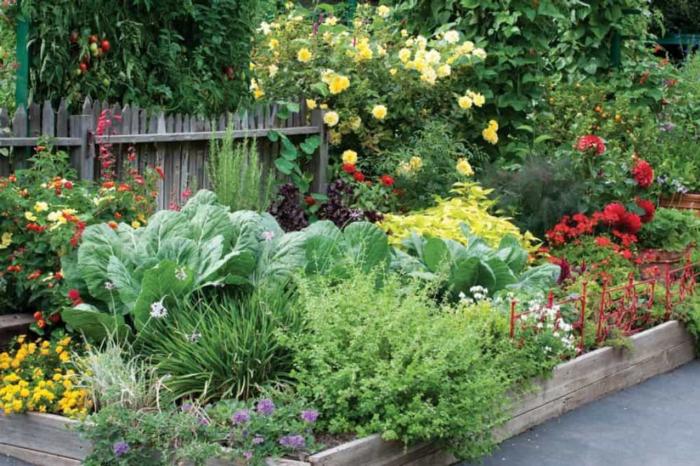 edible-landscaping-with-raised-bed-and-wooden-fences