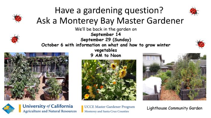 Community Garden Outreach poster 2019