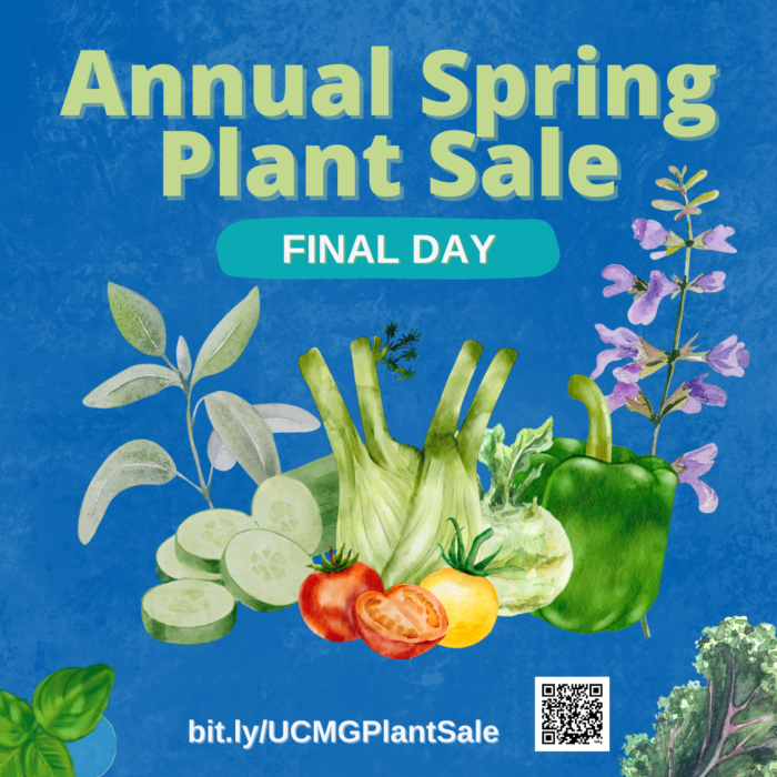 _IG - 2024 Spring Plant Sale last day (Instagram Post)