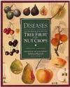 Diseases of Temperate Zone Tree Fruit & Nut Crops