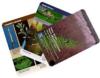 Tree Fruit Pest Identification Cards