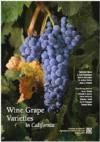 Wine Grape Varieties in California