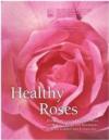 Healthy Roses