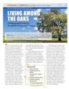 Living Among the Oaks - A Management Guide for Landowners
