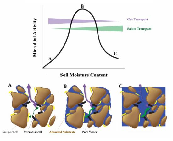 The effect of soil moisture content on gas and solute transport.