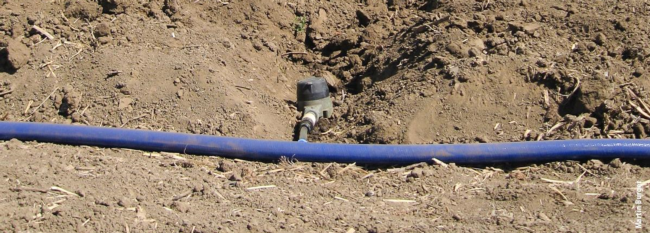 Buried drip irrigation systems help to minimize nitrous oxide production