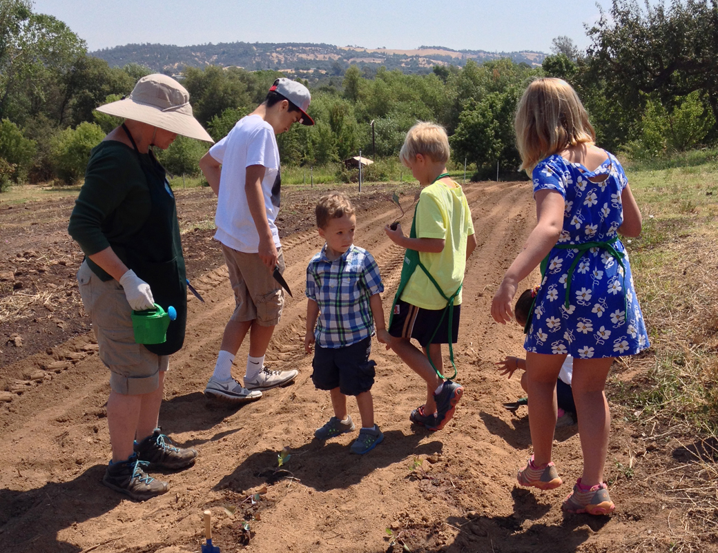 Planting vegetables with the Master Gardeners