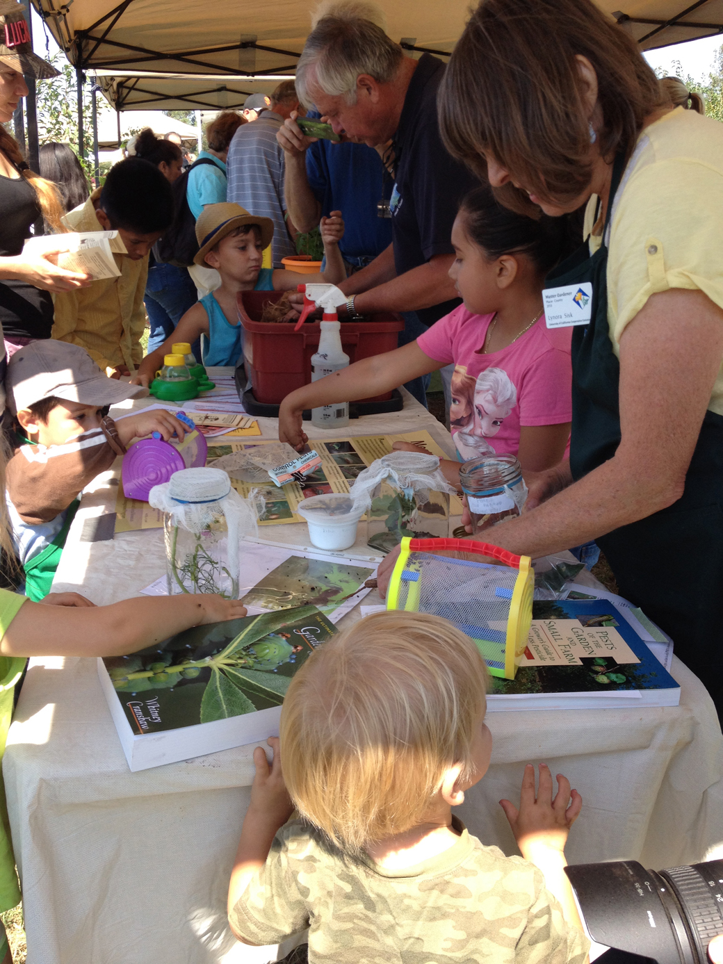 Exploring the world of insects with the Master Gardeners