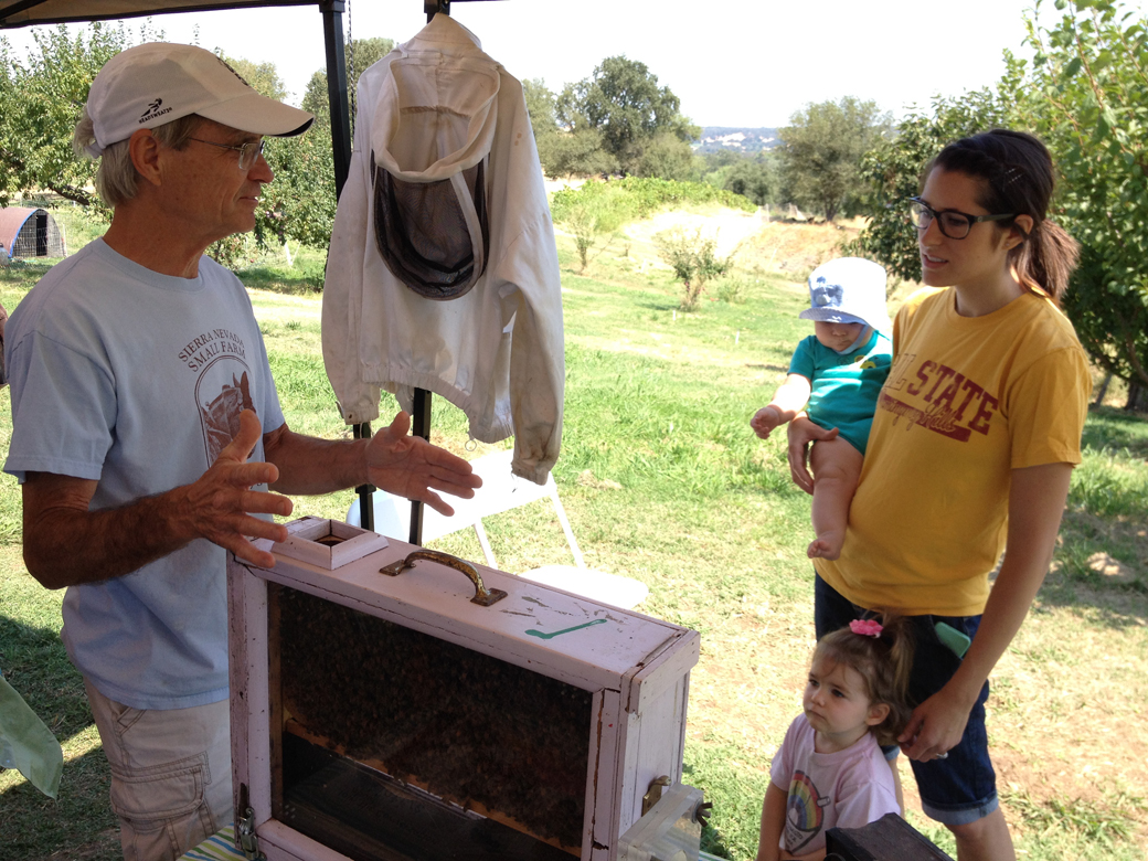 Learning about honeybees with beekeeper Tom Harper