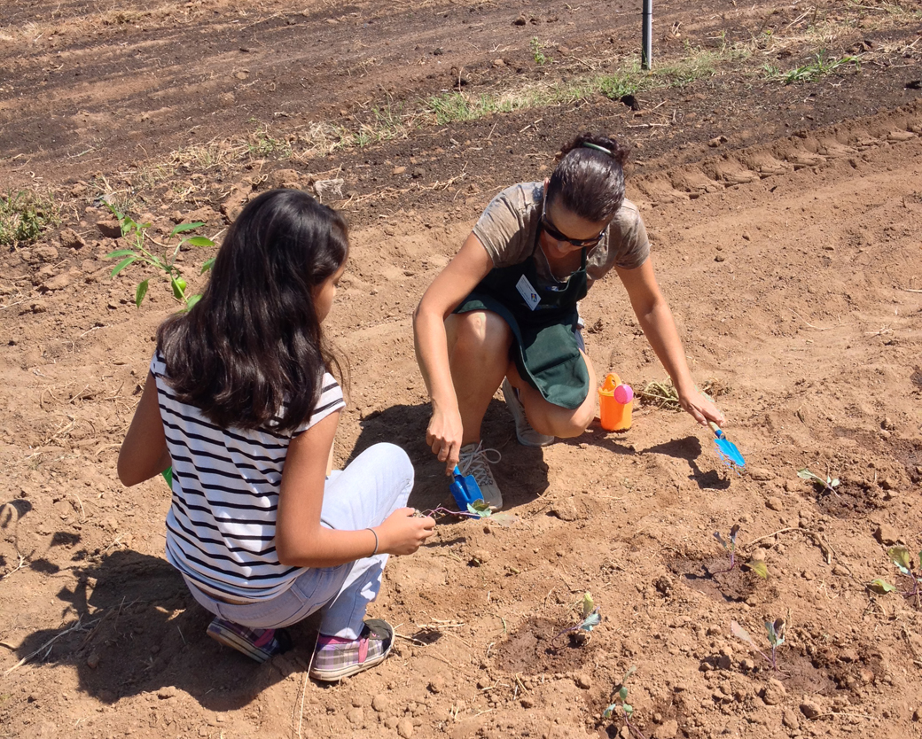 Learning to plant veggies on the farm