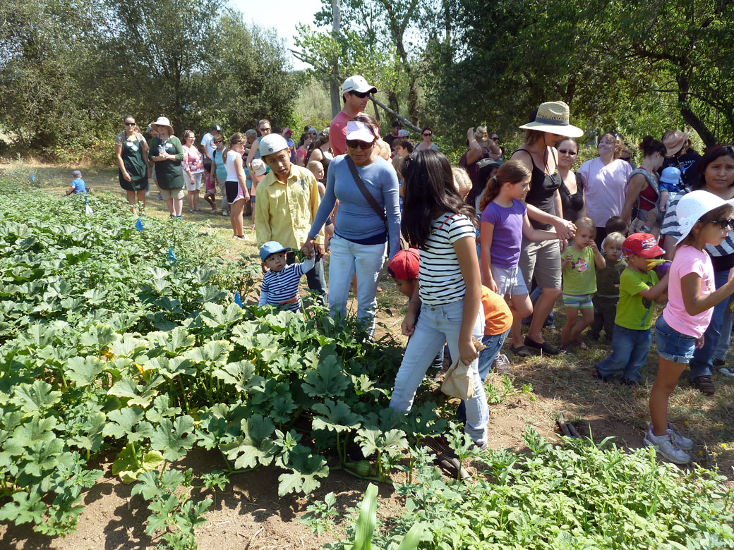 Learning how pumpkins and squash grow