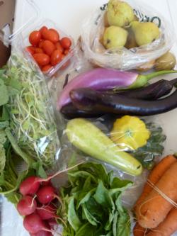Las frutas y verduras de la caja de los productos CSA