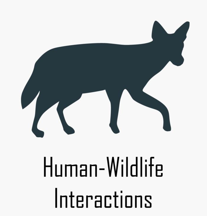 Human and Wildlife Interactions