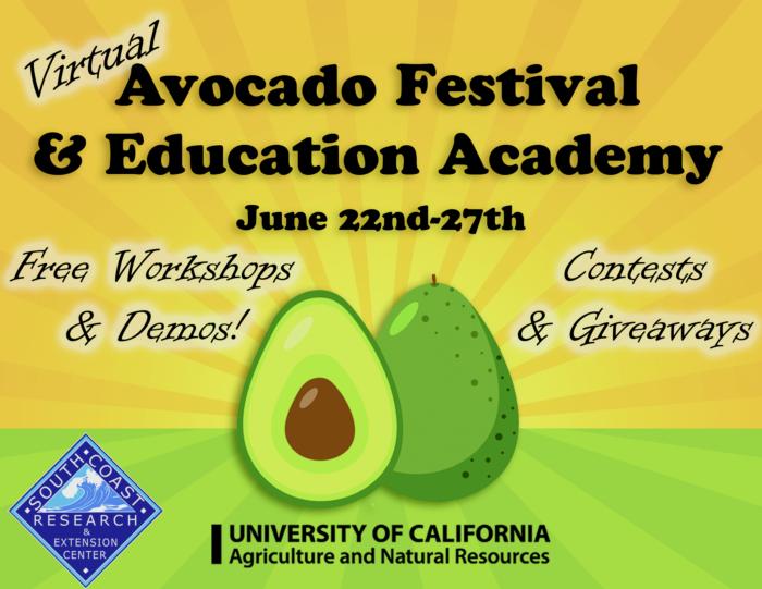 Avocado Festival 2020