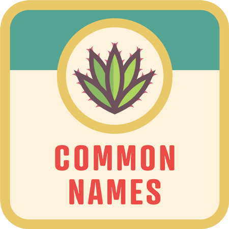 Common Names