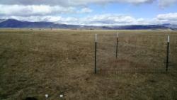 Irrigated Pasture exclosure and soil moisture monitoring probes (white circles in bottom left of image)
