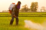 Pesticides / Tiv thaiv koj tus kheej ntawm cov Tshuaj