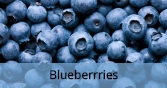 blueberries_Final