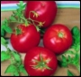 Tomato_Varieties