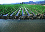 Ag Water_Updated