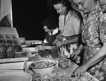 Women cutting vegetables for preserving