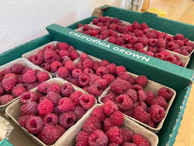 Multiple baskets of raspberries in bulk box