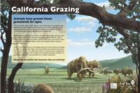Grazing Panel - California Grazing