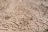 Drought on Pixabay