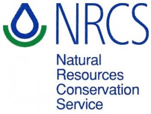 NRCS-logo-300x226