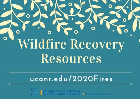 Click here for Recovery Resources page