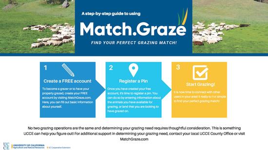 Match.Graze Step-by-Step infographic