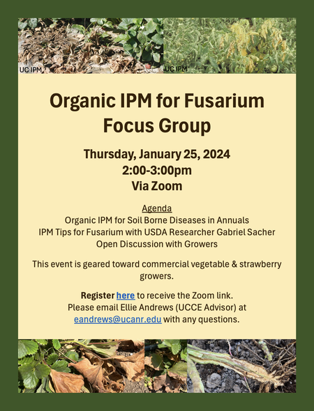 Fusarium Focus Group Flier