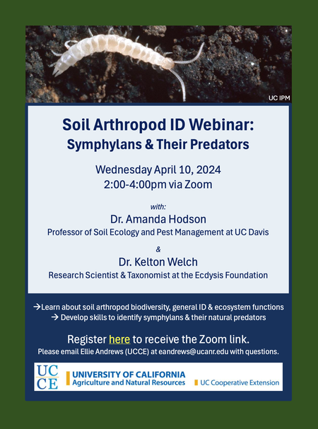 Soil Arthropod ID Webinar Flier