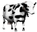 cow-animated