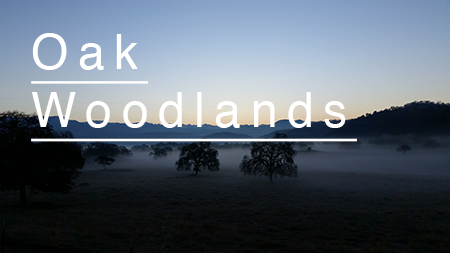 oakwoodlandsbutton