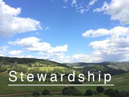 Stewardship_Button