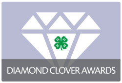 Diamond Clover Awards button