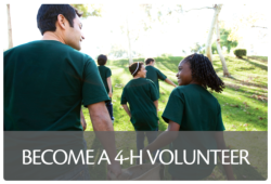 Adult volunteers are a key component of the 4-H program.