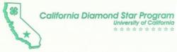 Diamond Star Logo