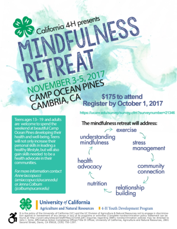 Mindfulness Retreat flyer